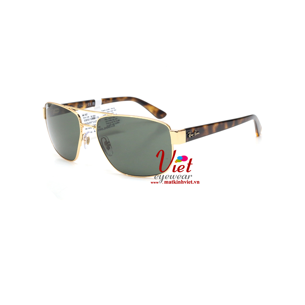 Kính mát RayBan RB3663 001/31